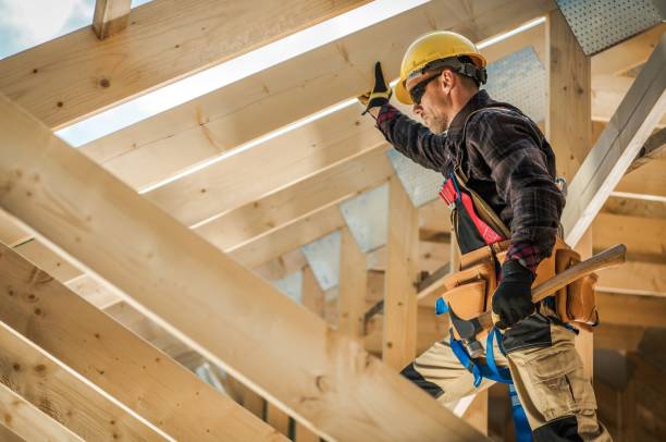 Best Roof Gutter Cleaning  in Wardsville, MO
