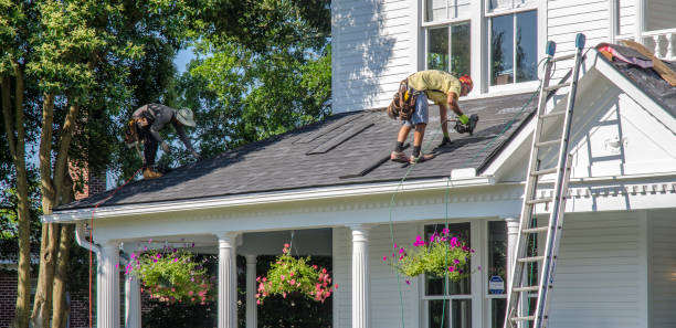 Best Metal Roofing Contractor  in Wardsville, MO