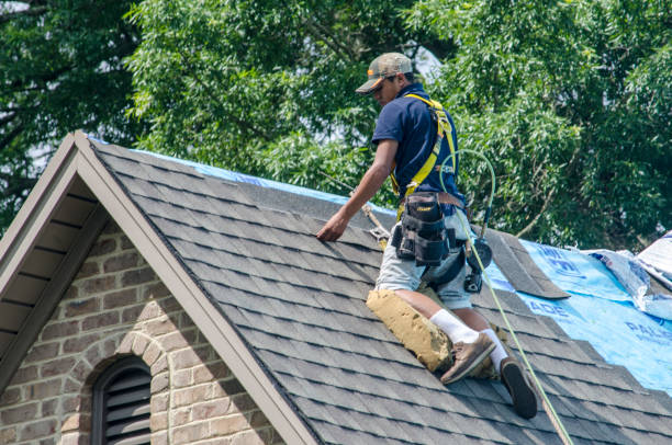 Best Local Roofing Companies  in Wardsville, MO